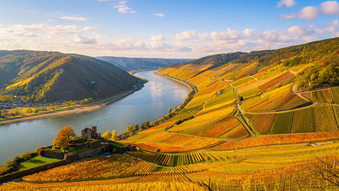 Malerisches Rheintal mit Weinbergen und historischen Burgen